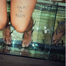 Murlocs - Calm Ya Farm