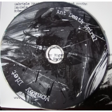 Monkey Diet - Ant Death Spiral