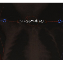 Year of Our Lord - Frozen Divide