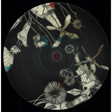 Kaiserdisco - Magic Land