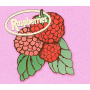 Raspberries - Classic Album Set