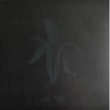 Dandy Warhols - Black Album