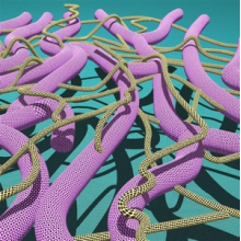 Gaf Y La Estrella De La Muerte - Pyramids