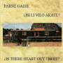 Parne Gadje - Is There Heart Out There?