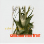 Sonic Liberation Front - Ashe a Go-Go
