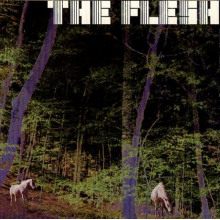 Flesh - The Flesh