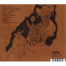 Wooden Wand - Second Attention