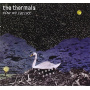 Thermals - Now We Can See