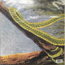 Rainforest Spiritual Enslavement - Green Graves