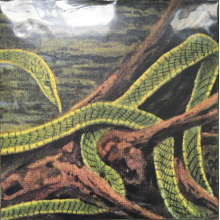 Rainforest Spiritual Enslavement - Green Graves