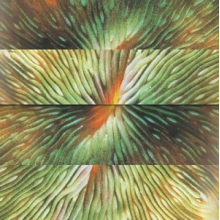 Active Surplus - Mirroring