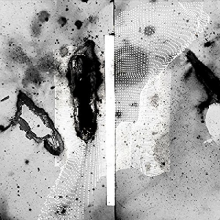 Certain Creatures - Vipassana