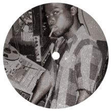 V/A - Promise Land: Vocals & Version