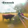 Damned - Rockfield Files