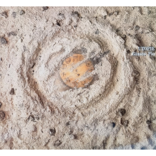 Pio, Giusto - Utopie