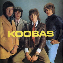 Koobas - Koobas