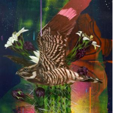 Russell, Todd & the Dangerous Coats - Playa Larga / 1900 Ocean Ave