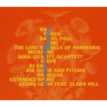 V/A - Sonar Kollektiv 2