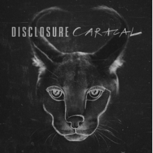 Disclosure - Caracal