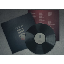 Golden Apes - From the Sky