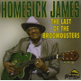 Homesick James - Last of the Broomdusters