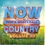 V/A - Now That's What I Call Country Volume 13