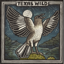 V/A - Texas Wild
