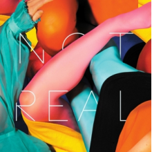 Stealing Sheep - Not Real