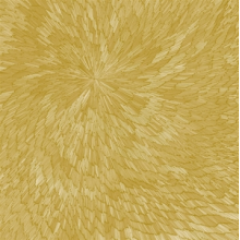 Downes, Kit - Medna Roso