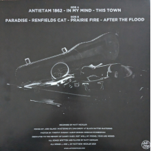 Heckler, Matt - This Town is Killing Me