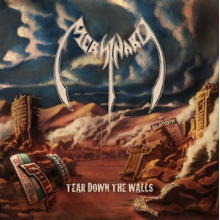 Mersinary - Tear Down the Walls