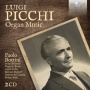 Bottini, Paolo - Picchi: Organ Music
