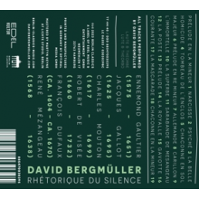 Bergmuller, David - Rhetorique Du Silence