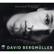 Bergmuller, David - Rhetorique Du Silence