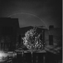 Open City - Hands In the Honey Jar