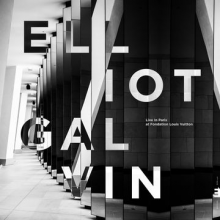 Galvin, Elliot - Live In Paris, At Fondation Louis Vuitton