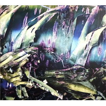 Polypores - Multizonal Mindscramble