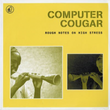 Computer Cougar - Rough Notes On High Stress