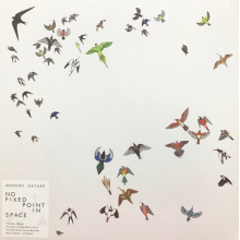 Modern Nature - No Fixed Point In Space