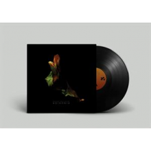 Up High Collective - Koinonia