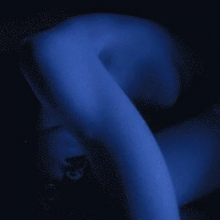 Liv.E - Girl In the Half Pearl