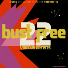 V/A - Bust Free 22