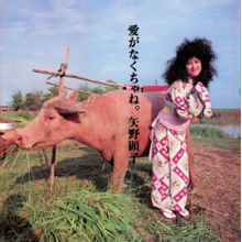 Yano, Akiko - Ai Ga Nakucha Ne