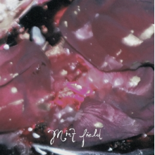 Mint Field - Aprender a Ser (Fruit Punch)