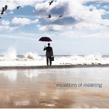 Patterson, Tony - Equations of Meaning