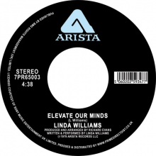 Williams, Linda - Elevate Our Minds