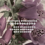 Laubrock, Ingrid - Monochromes