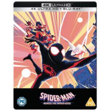 Animation - Spider-Man: Across the Spider-Verse