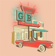 Goodwin Brothers, the - If You Hadn't Noticed