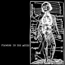 Flowers In the Attic - Flowers In the Attic -McD